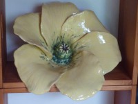 /album/fleurs-vases/fleur-5-jpg/